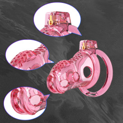 Pasted Image